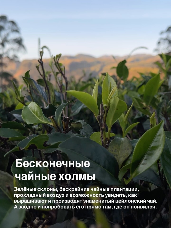 Изображение 4 из 11 — Представьте, 9,5 часов и вы у океана! Сели в Минске, а вышли на тропическом острове посред...