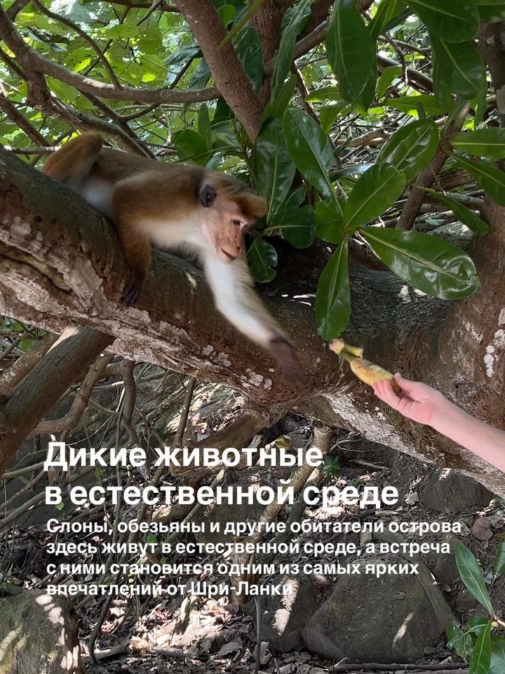 Изображение 5 из 11 — Представьте, 9,5 часов и вы у океана! Сели в Минске, а вышли на тропическом острове посред...