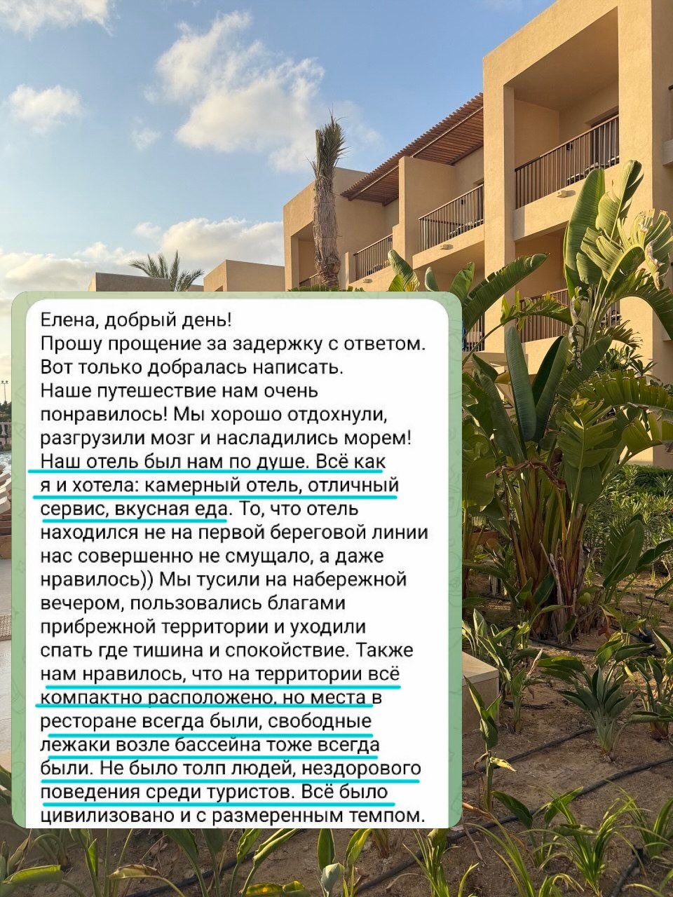 Изображение 2 из 15 — Таким увидели Эль-Аламейн наши туристы. Отдыхали они в отеле Jaz Viva Almaza Blue 5*. Благ...