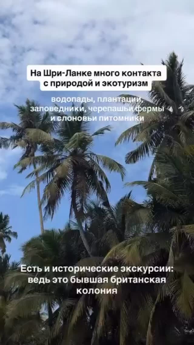 История 4 из 5