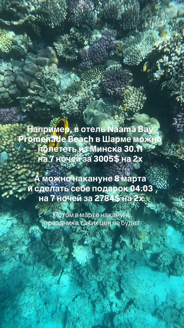 История 2 из 3
