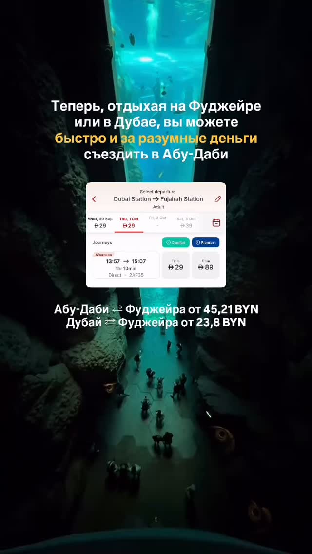 История 2 из 5