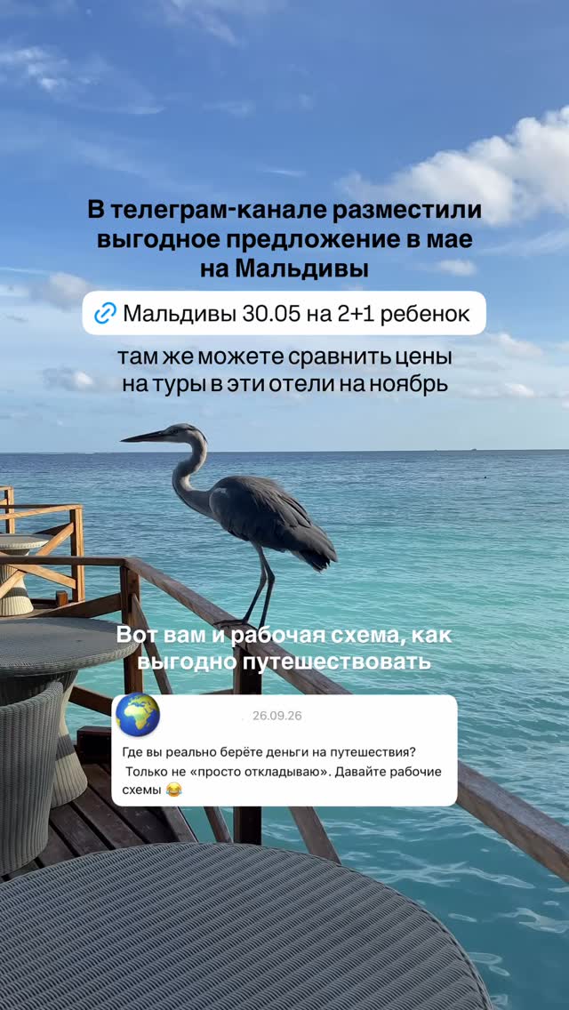 История 5 из 5