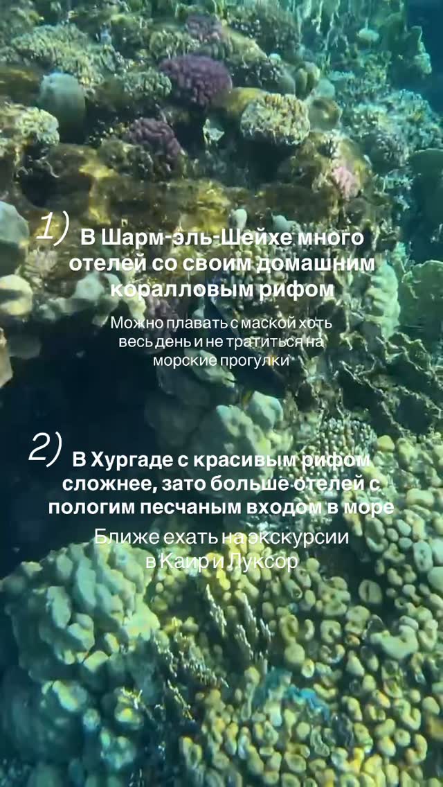История 4 из 6