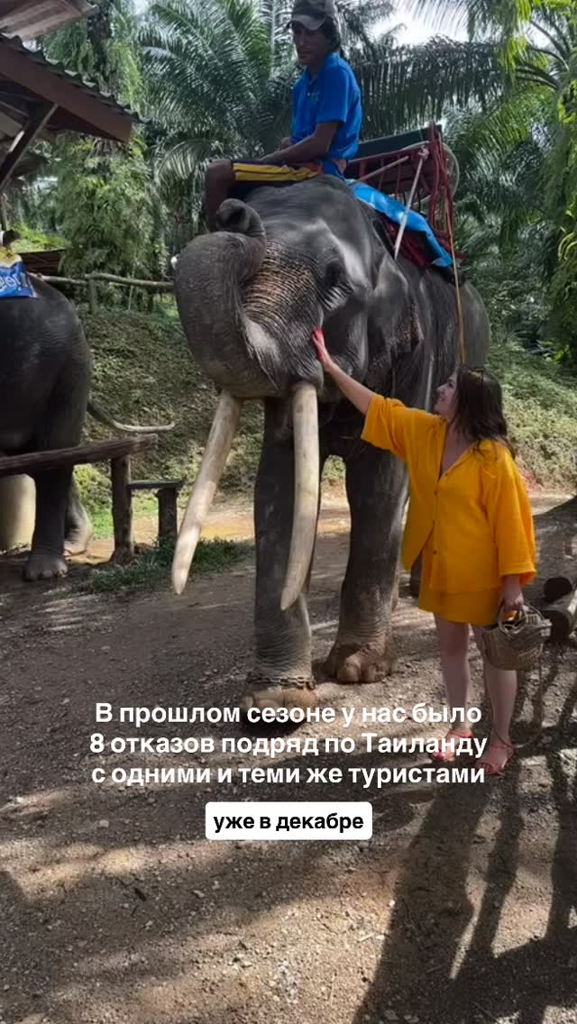 История 3 из 4